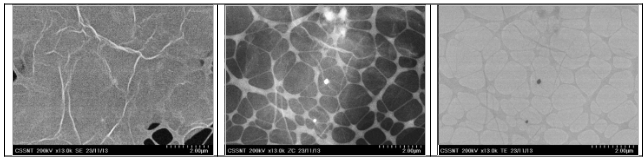 Micrografii STEM ale GO utilizând simultan trei tehnici: SEM (stânga), contrast de număr atomic – ZC (mijloc) și TEM (dreapta), în aceeași locație pe probă.