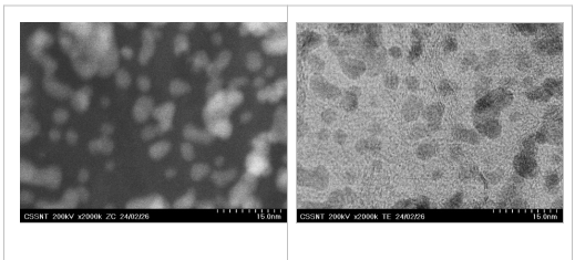 Micrografii STEM ale compozitului Co-Pd/rGO, înregistrate cu detectori ZC – contrast de fază (stânga) și TE – electroni de transmisie (dreapta), pentru aceeași locație pe probă.